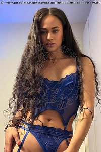 trav victoria new bologna foto 1