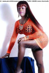  VENUS trav escort Vicenza