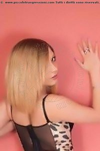  ANASTASIA VIP girls Estero