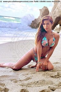 LIISA ASIATICA LADYBOY SIRACUSA 3489026722