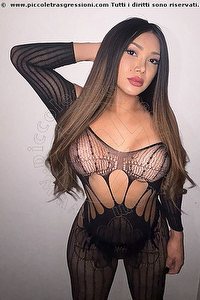  ROSANGELA trans escort Bologna