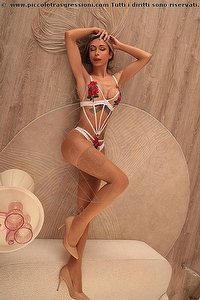  KIM GAUCHA trans Modena