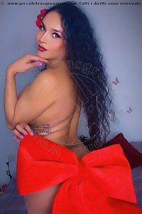 MINDY AOSTA 3884798312
