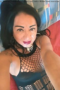  ALESSANDRA trans escort Livorno