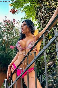  ANITA BELLEZZA ESOTICA trans escort Firenze