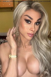 EDUARDA VOGUE trans Alessandria
