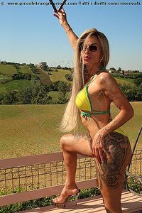 trans bruna xxl bologna foto 1
