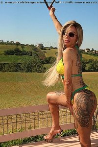  BRUNA XXL trans escort Bologna
