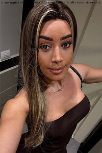  IRIS ARAUJO trans Pavia