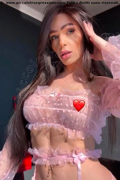 Trans Fernanda Ambrosio 3277803350 Incontri Bologna zona San Donato