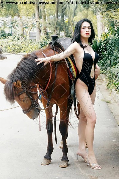 Trans Bianca  Ladyboy 3932233064 Incontri Pordenone zona Centro