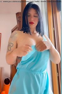  ALENA COIN escort Verona