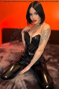  NICK MILLER trans Verona