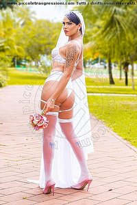  NICK MILLER trans escort Rimini