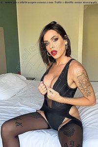  NICK MILLER trans escort Rimini