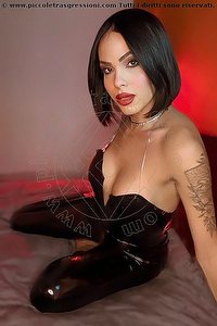  NICK MILLER trans escort Verona