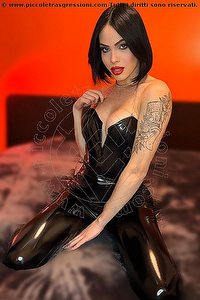  NICK MILLER trans escort Verona