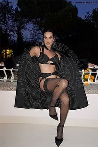 trans escort nick miller verona foto 5