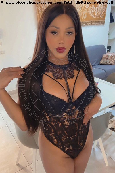 Trans Luciana Campana 3510006709 Incontri Vicenza zona Palladio