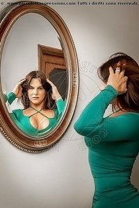  ANGELINA trav Piacenza