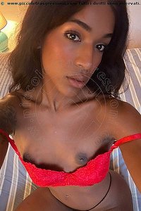  ALICIA trans escort La Spezia