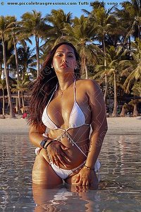  MICHELLE ROSE girls Estero