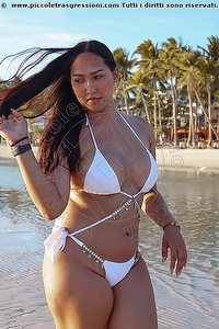  MICHELLE ROSE girls Estero