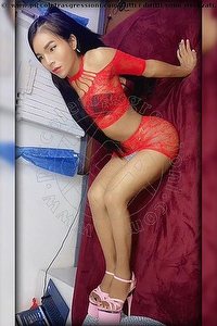 trans nicolle cesenatico foto 1