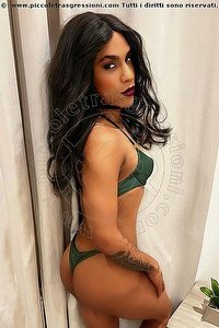  MILLY trav Modena