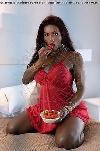 EVA BLACK trans Arezzo