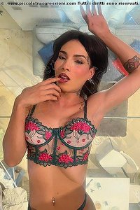  ARIELLI COLLINS trans Roma