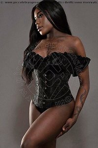  NIMAT trans Roma