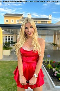  ANA MANCINI trans escort Estero