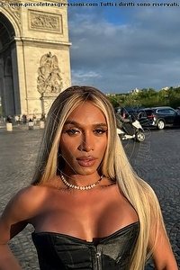  CANDY LUNA trans escort Estero