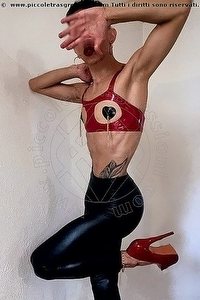 ARIEL FEMBOY BRESCIA 3295516521