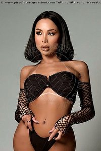 trans escort anyta padova foto 1