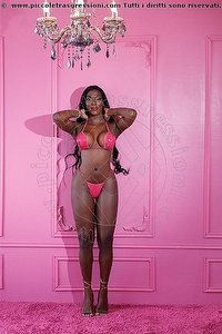 trans escort erica oliveira vicenza foto 1