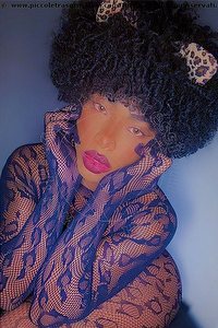  CRISTINA LOVE trans escort Treviso
