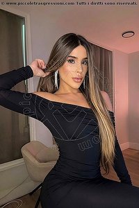 trav escort ananda milano foto 5