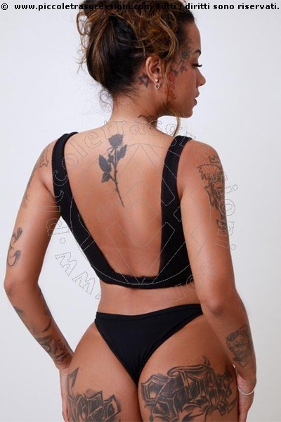 Escort Chiara Brasiliana Hott Hot 3509137266 Incontri Cuneo