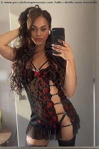  VICTORIA NEW trans Bologna