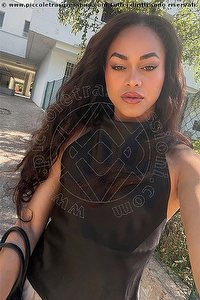  VICTORIA NEW trans Bologna